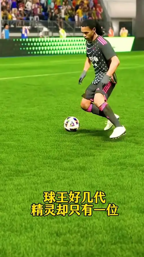 争提供了正
